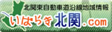 [N]΂炫k.com